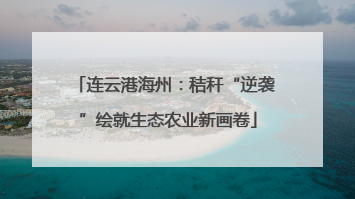 连云港海州：秸秆“逆袭”绘就生态农业新画卷