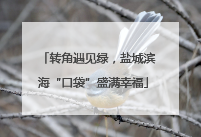 转角遇见绿，盐城滨海“口袋”盛满幸福