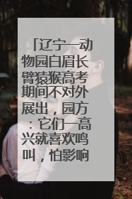辽宁一动物园白眉长臂猿猴高考期间不对外展出，园方：它们一高兴就喜欢鸣叫，怕影响考试