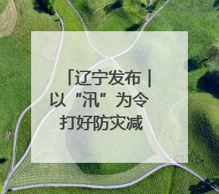 辽宁发布｜以“汛”为令 打好防灾减灾主动仗
