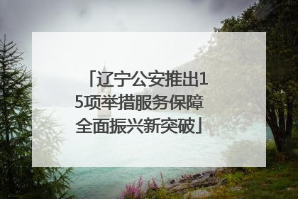辽宁公安推出15项举措服务保障全面振兴新突破