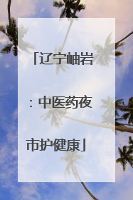 辽宁岫岩：中医药夜市护健康