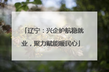 辽宁：兴企护航稳就业，聚力赋能暖民心