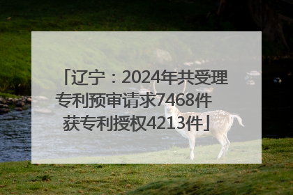 辽宁：2024年共受理专利预审请求7468件 获专利授权4213件