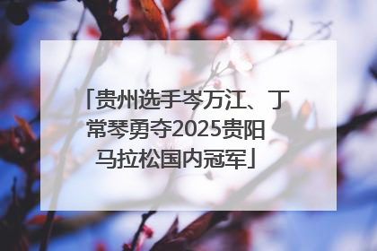 贵州选手岑万江、丁常琴勇夺2025贵阳马拉松国内冠军