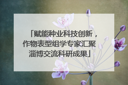 赋能种业科技创新，作物表型组学专家汇聚淄博交流科研成果