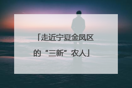 走近宁夏金凤区的“三新”农人