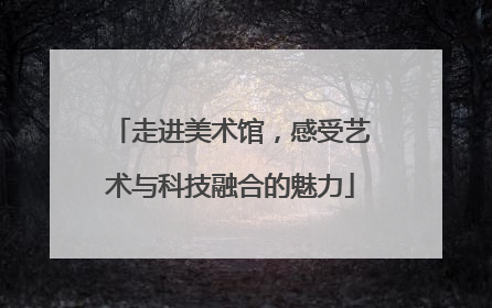 走进美术馆，感受艺术与科技融合的魅力