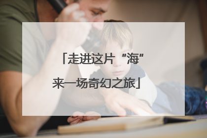 走进这片“海”来一场奇幻之旅