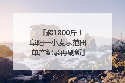 超1800斤！阜阳一小麦示范田单产纪录再刷新