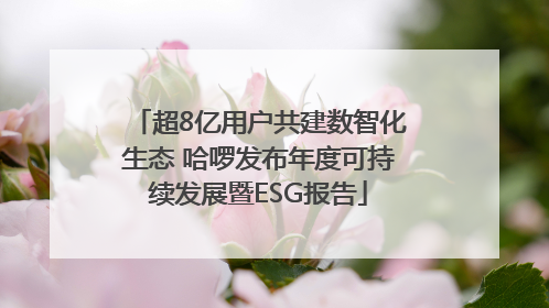 超8亿用户共建数智化生态 哈啰发布年度可持续发展暨ESG报告