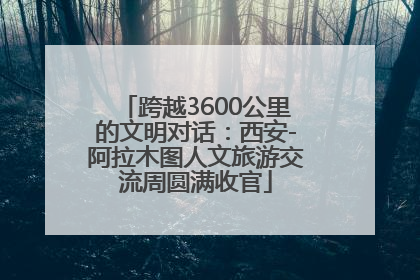 跨越3600公里的文明对话：西安-阿拉木图人文旅游交流周圆满收官