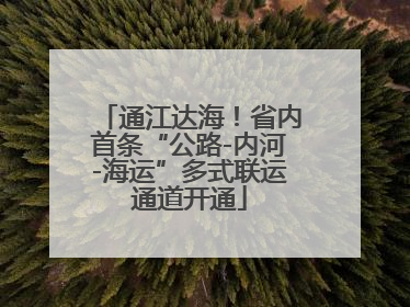 通江达海！省内首条“公路-内河-海运”多式联运通道开通