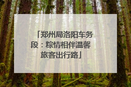 郑州局洛阳车务段：粽情相伴温馨旅客出行路