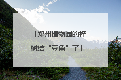 郑州植物园的梓树结“豆角”了