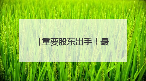重要股东出手！最高增持超29亿元