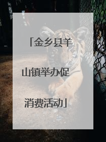 金乡县羊山镇举办促消费活动