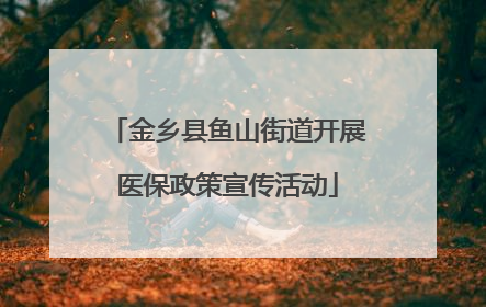 金乡县鱼山街道开展医保政策宣传活动