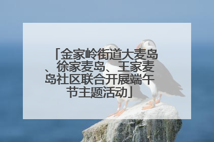 金家岭街道大麦岛、徐家麦岛、王家麦岛社区联合开展端午节主题活动