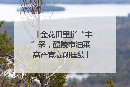 金花田里拼“丰”采，醴陵市油菜高产竞赛创佳绩