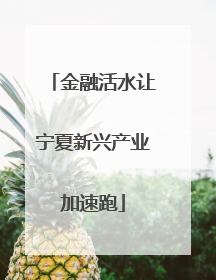 金融活水让宁夏新兴产业加速跑