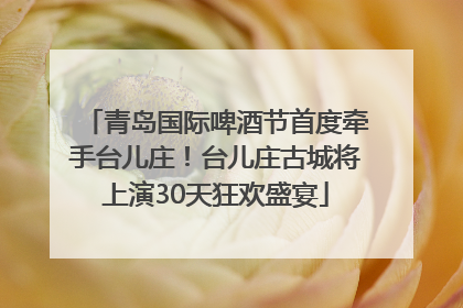 青岛国际啤酒节首度牵手台儿庄！台儿庄古城将上演30天狂欢盛宴