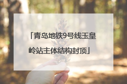 青岛地铁9号线玉皇岭站主体结构封顶