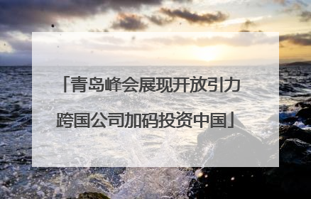 青岛峰会展现开放引力 跨国公司加码投资中国