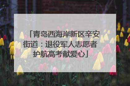 青岛西海岸新区辛安街道：退役军人志愿者护航高考献爱心