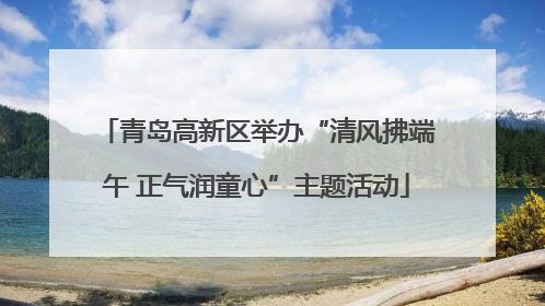 青岛高新区举办“清风拂端午 正气润童心”主题活动