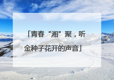 青春“湘”聚，听金种子花开的声音