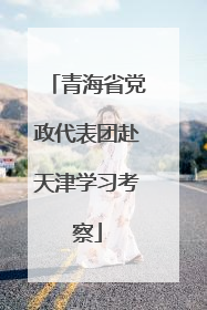 青海省党政代表团赴天津学习考察
