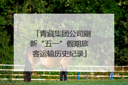青藏集团公司刷新“五一”假期旅客运输历史纪录