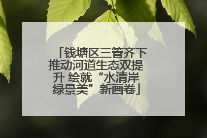 钱塘区三管齐下推动河道生态双提升 绘就“水清岸绿景美”新画卷