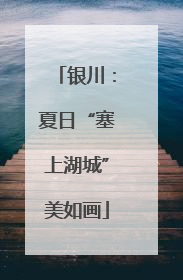 银川：夏日“塞上湖城”美如画