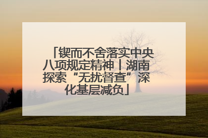 锲而不舍落实中央八项规定精神丨湖南探索“无扰督查”深化基层减负