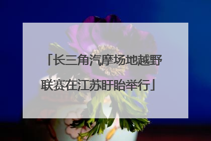 长三角汽摩场地越野联赛在江苏盱眙举行