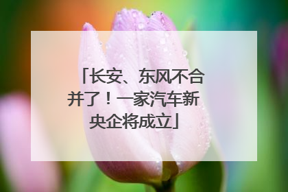 长安、东风不合并了！一家汽车新央企将成立