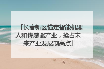 长春新区锚定智能机器人和传感器产业，抢占未来产业发展制高点