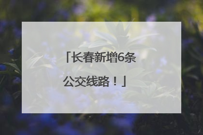 长春新增6条公交线路！