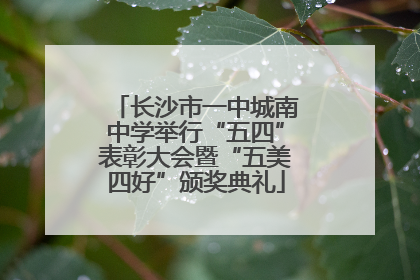 长沙市一中城南中学举行“五四”表彰大会暨“五美四好”颁奖典礼