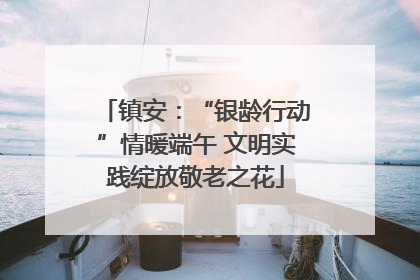镇安：“银龄行动”情暖端午 文明实践绽放敬老之花