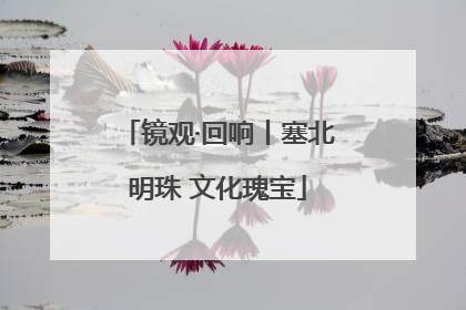 镜观·回响丨塞北明珠 文化瑰宝