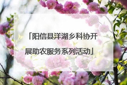 阳信县洋湖乡科协开展助农服务系列活动