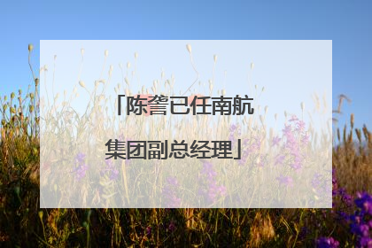 陈詟已任南航集团副总经理