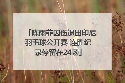陈雨菲因伤退出印尼羽毛球公开赛 连胜纪录停留在24场