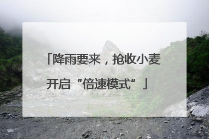 降雨要来，抢收小麦开启“倍速模式”