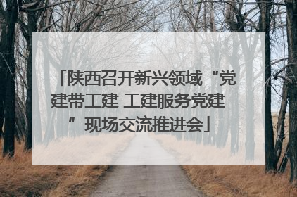 陕西召开新兴领域“党建带工建 工建服务党建”现场交流推进会