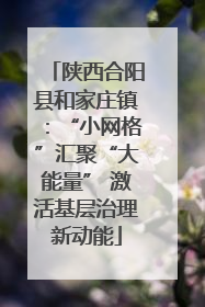 陕西合阳县和家庄镇：“小网格”汇聚“大能量” 激活基层治理新动能