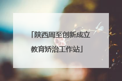 陕西周至创新成立教育矫治工作站